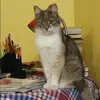 Отзыв от Аня Калугина